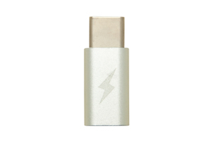 Punjač — Adapter Micro USB na Type-C
