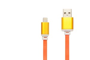 Kabl za Apple iPhone 5 — USB Data Cable Astro